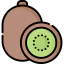Kiwi icon 64x64
