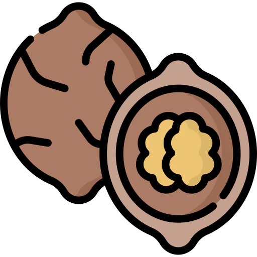 Walnut icon