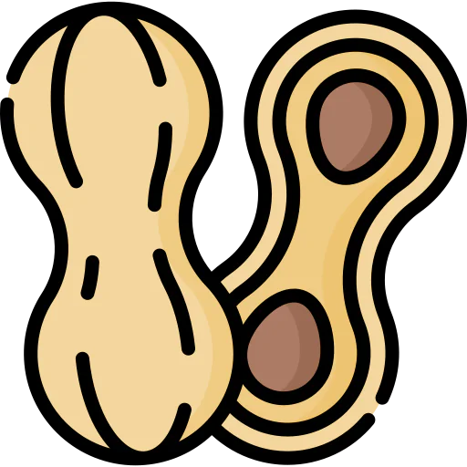 Peanut icon