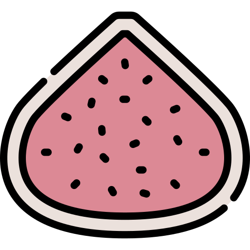 Fig icon