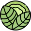 Cabbage Ikona 64x64