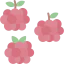 Blackberry icon 64x64