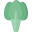 Spinach biểu tượng 64x64