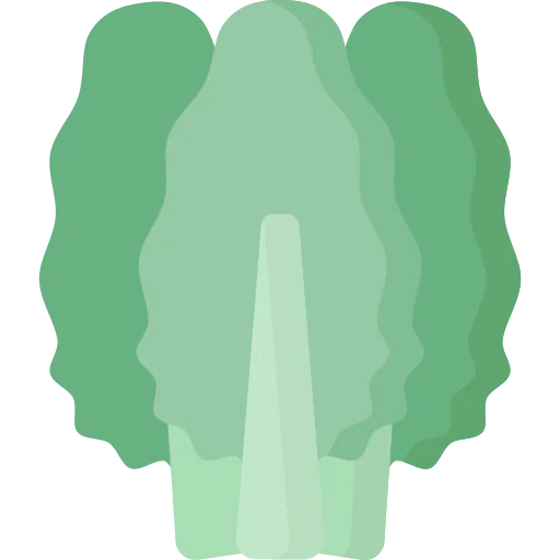 Chard icon