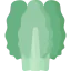 Chard icon 64x64