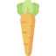 Carrot Ikona 64x64