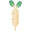 Turnip Ikona 64x64