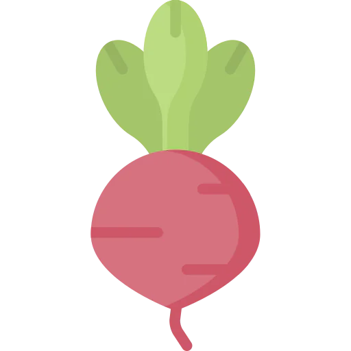 Radish icon