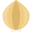 Onion icon 64x64