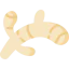 Ginger icône 64x64