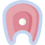 Salmon icon 64x64