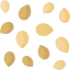 Sesame icon 64x64