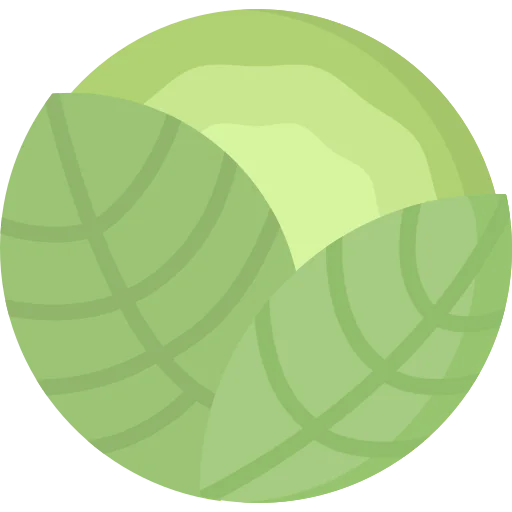 Cabbage icon