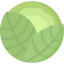 Cabbage Ikona 64x64