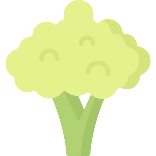 Broccoli icon