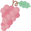 Grapes icon 64x64
