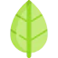 Leaf icon 64x64