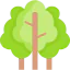 Forest icon 64x64