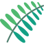 Fern 图标 64x64