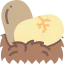 Eggs icon 64x64