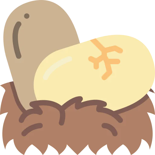 Eggs icon