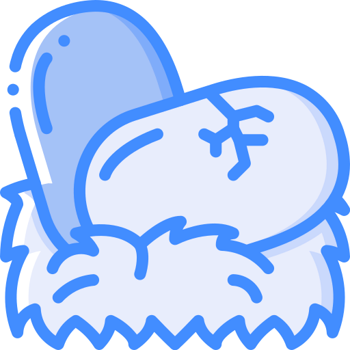 Eggs icon