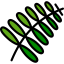 Fern 图标 64x64