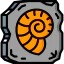 Fossil アイコン 64x64