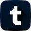 Tumblr icon 64x64
