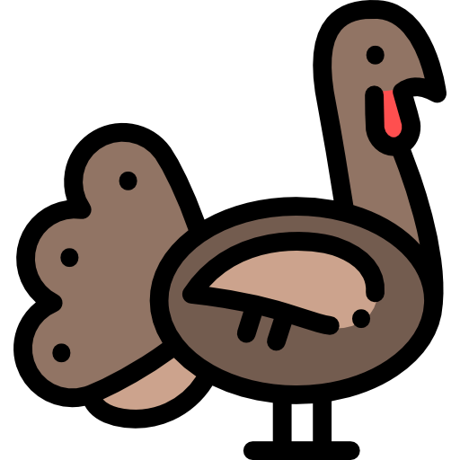 Turkey icon