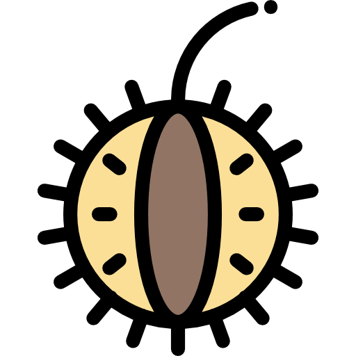 Chestnut icon