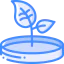 Petri dish icon 64x64