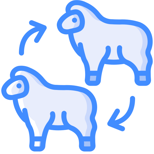 Cloning icon