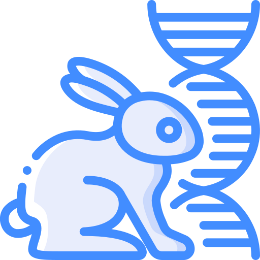 Rabbit icon