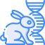 Rabbit icon 64x64