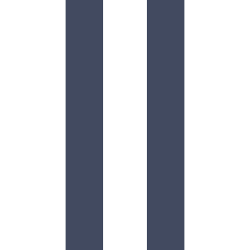 Pause icon