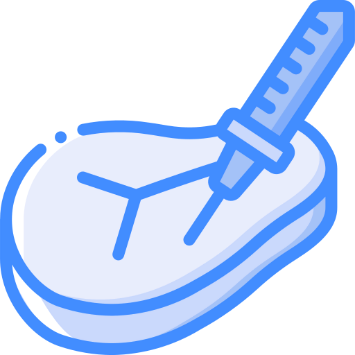 Meat icon