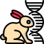 Rabbit іконка 64x64