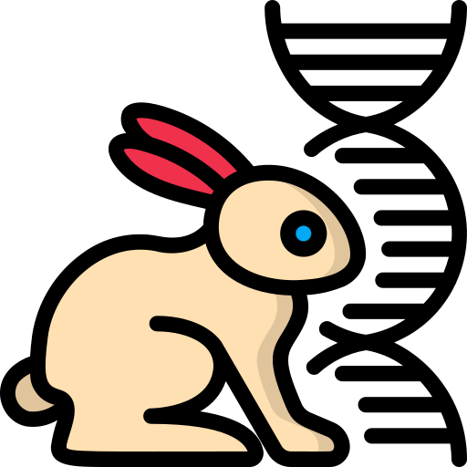 Rabbit icon