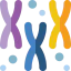 Chromosomes icon 64x64