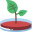 Petri dish icon 64x64