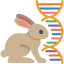 Rabbit іконка 64x64
