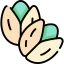 Pistachio icon 64x64