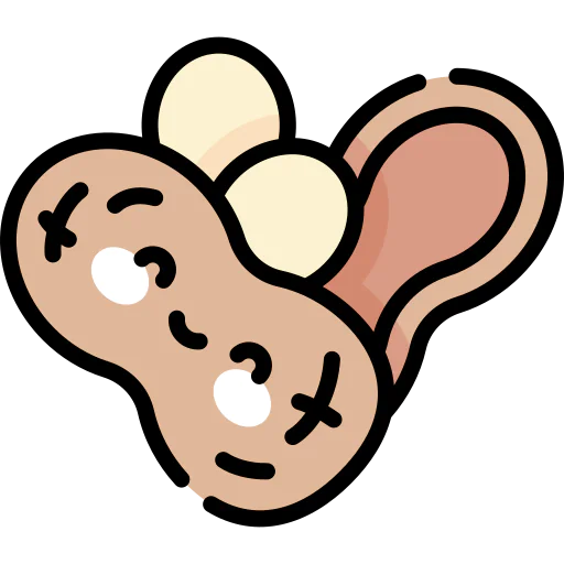 Peanut icon