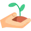 Sprout icon 64x64