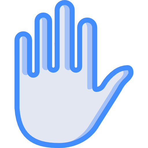 Privacy icon