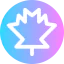 Maple leaf 图标 64x64