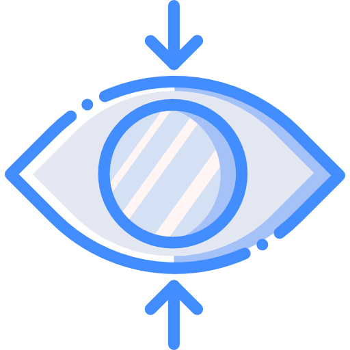 Vision icon