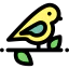 Bird icon 64x64