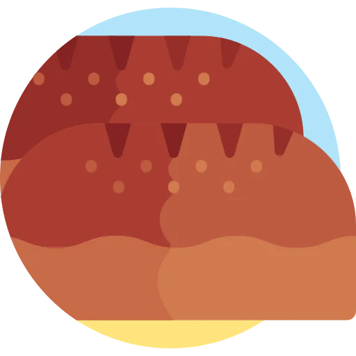 Bread icon